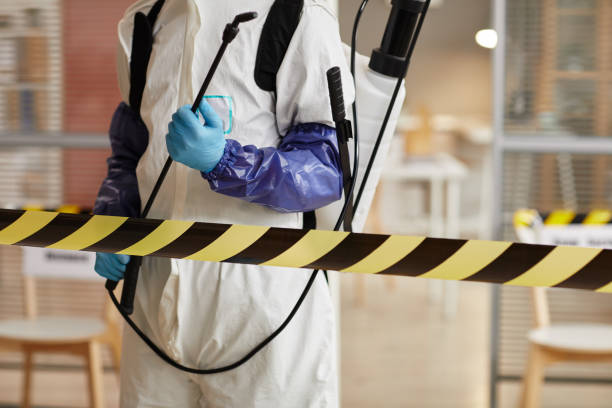 Professional Hoarding Cleanup technician working in Freeport, MI